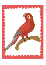 Load image into Gallery viewer, PARROT 2- ORIGINAL LIMITED EDITION FINE ART GICLEE PRINT
