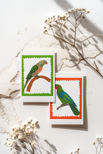 Load image into Gallery viewer, PARROT 1 - ORIGINAL LIMITED EDITION FINE ART GICLEE PRINT
