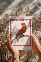 Load image into Gallery viewer, PARROT 2- ORIGINAL LIMITED EDITION FINE ART GICLEE PRINT

